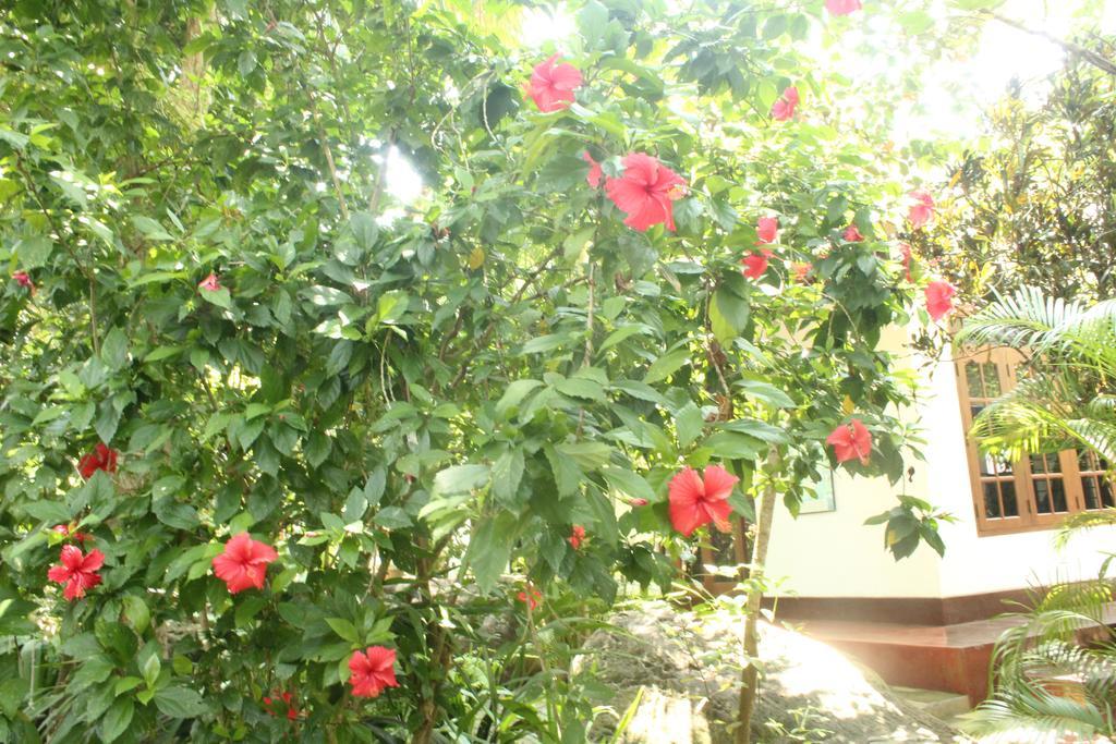 Dionis Villa Unawatuna Buitenkant foto