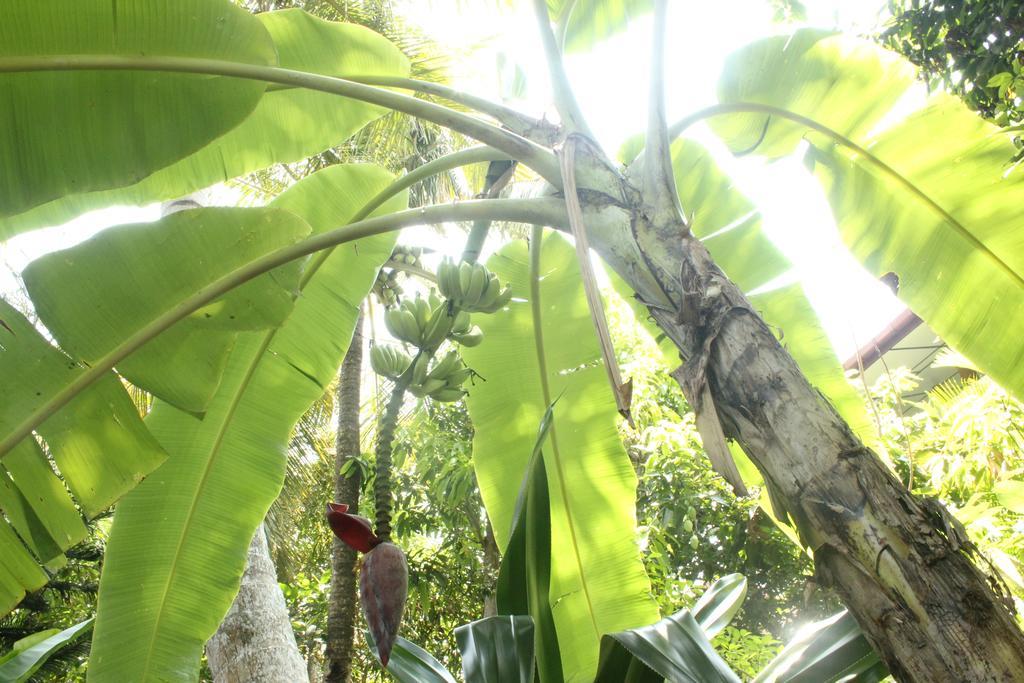 Dionis Villa Unawatuna Buitenkant foto