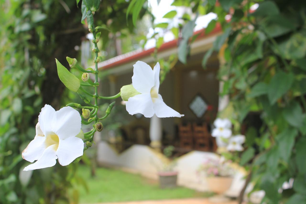 Dionis Villa Unawatuna Buitenkant foto